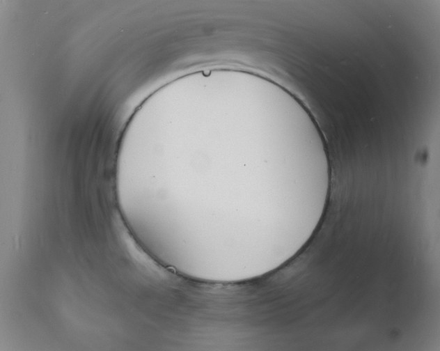 X0000112151534200909041051