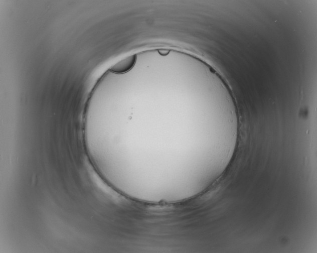 X0000112151535200909041051