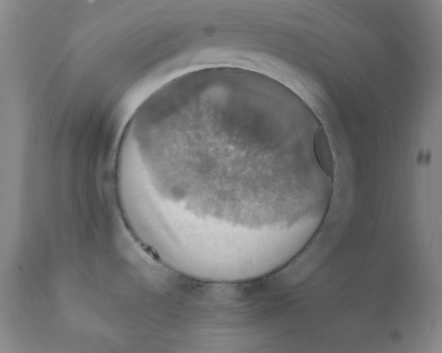 X0000112151536200909041051