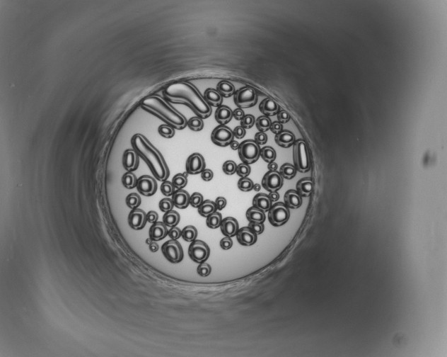 X0000112150001200909181435