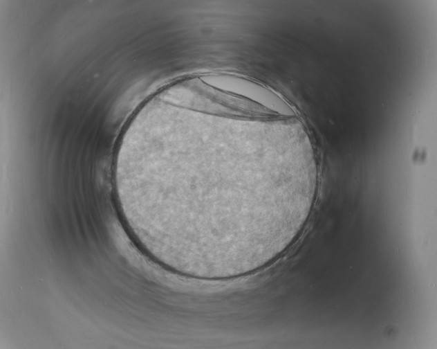 X0000112150002200909181435