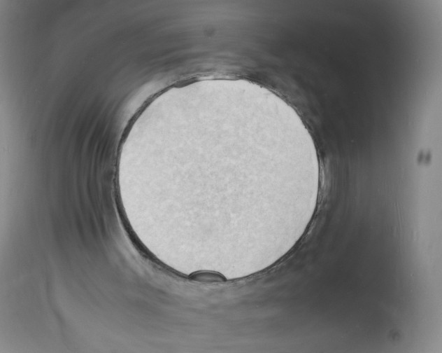X0000112150003200909181435