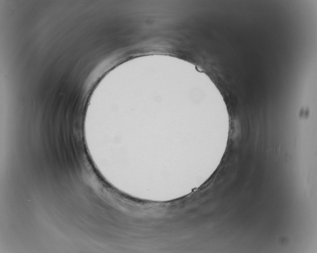 X0000112150004200909181435
