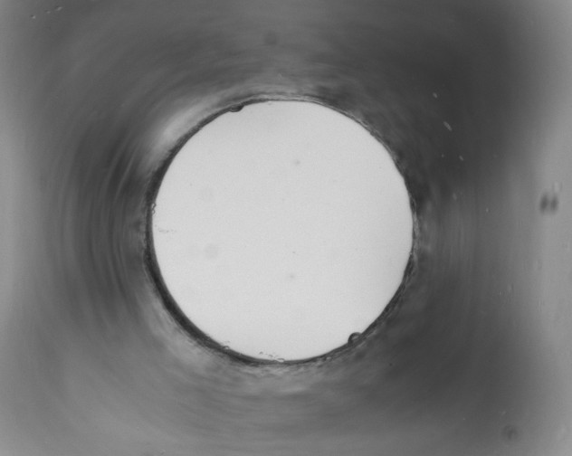 X0000112150005200909181435