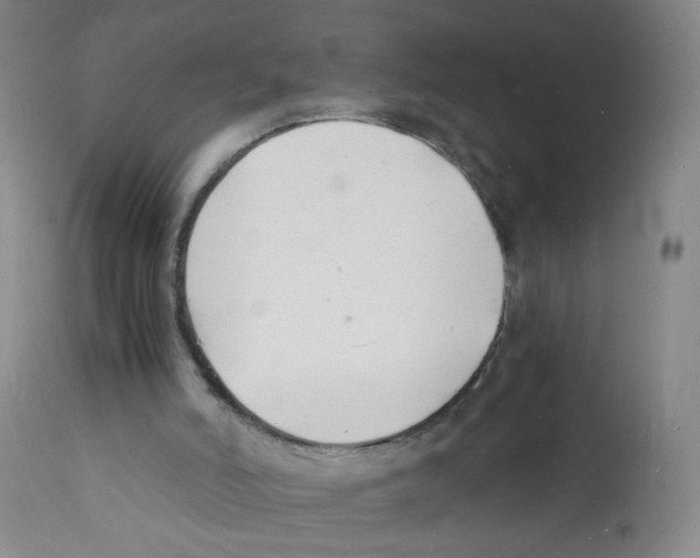 X0000112150006200909181435