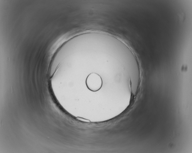 X0000112150007200909181435
