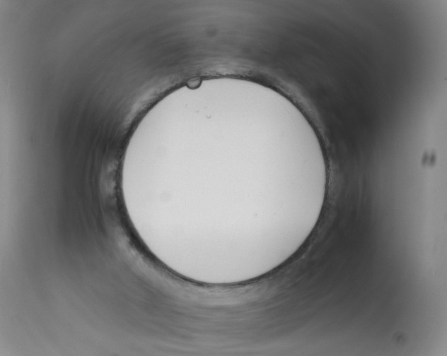 X0000112150010200909181435