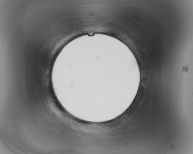 X0000112150012200909181435