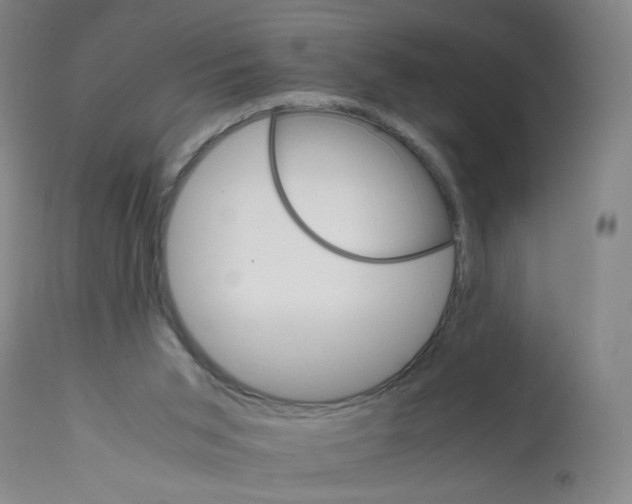 X0000112150015200909181434