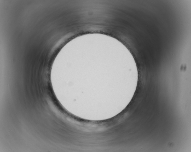X0000112150016200909181434