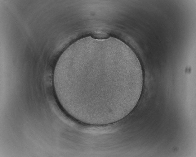 X0000112150017200909181434