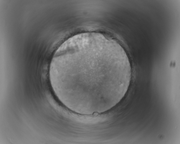 X0000112150018200909181434