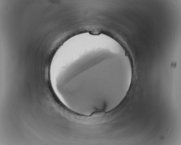 X0000112150019200909181434