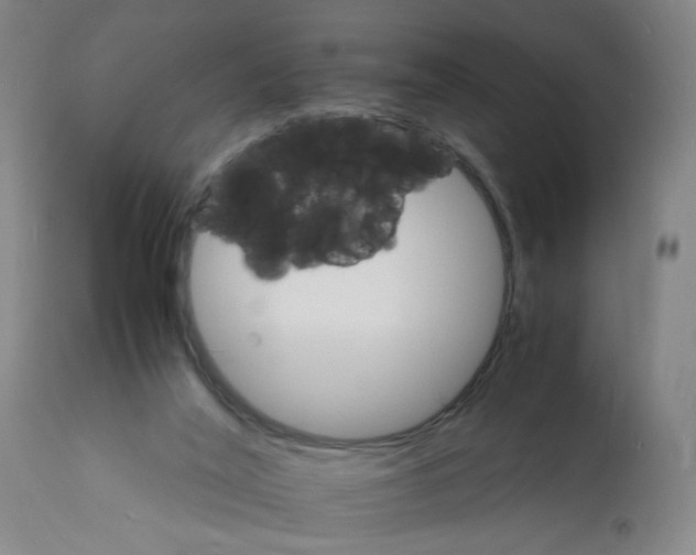 X0000112150020200909181434