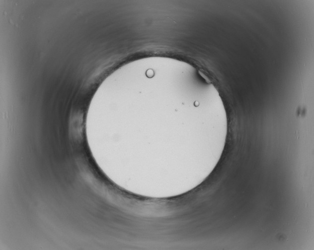 X0000112150024200909181434