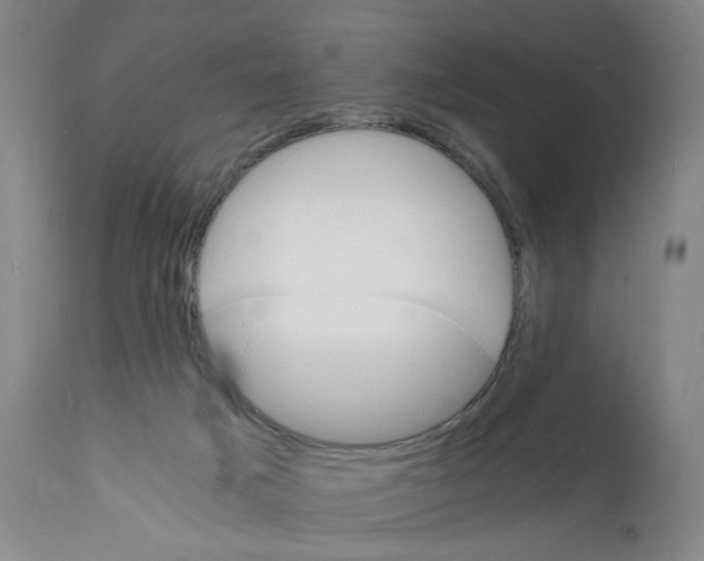 X0000112150025200909181434