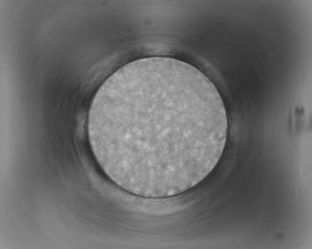 X0000112150026200909181434