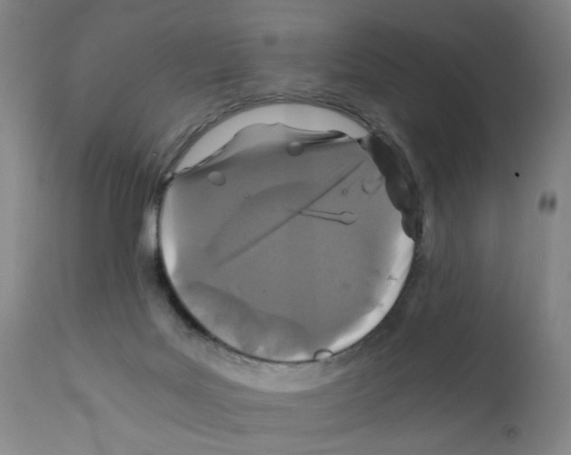 X0000112150027200909181434