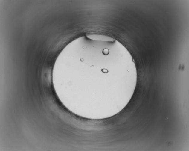 X0000112150028200909181434