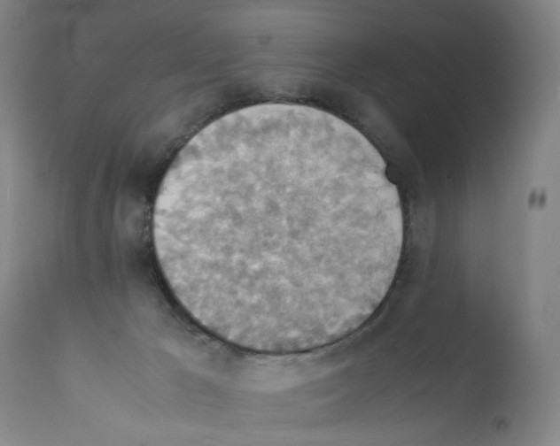 X0000112150029200909181434