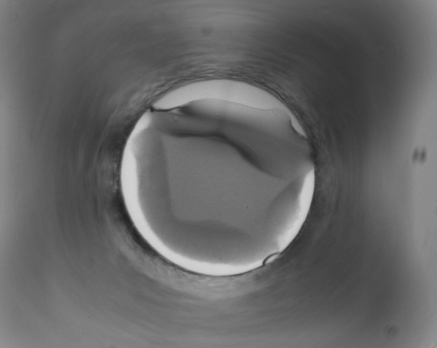 X0000112150031200909181434