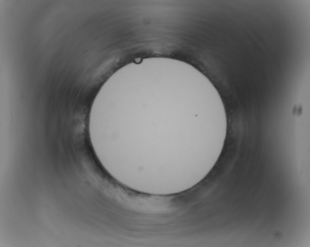 X0000112150032200909181434