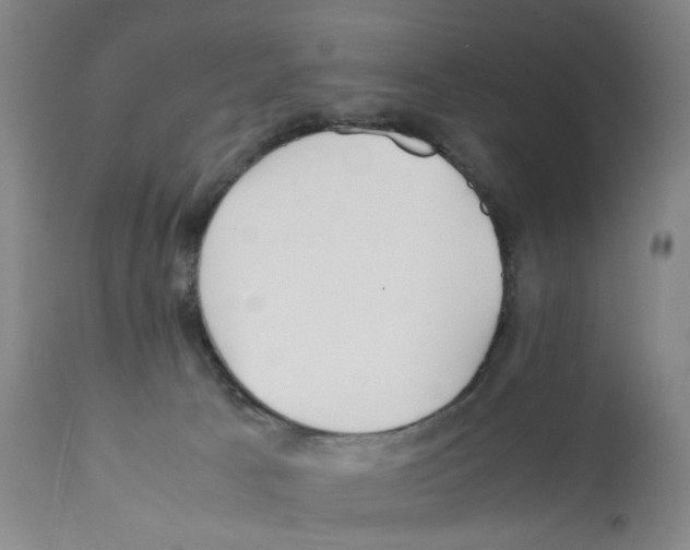 X0000112150033200909181434