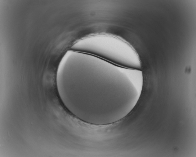 X0000112150035200909181434