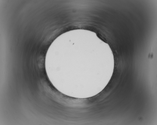 X0000112150036200909181434