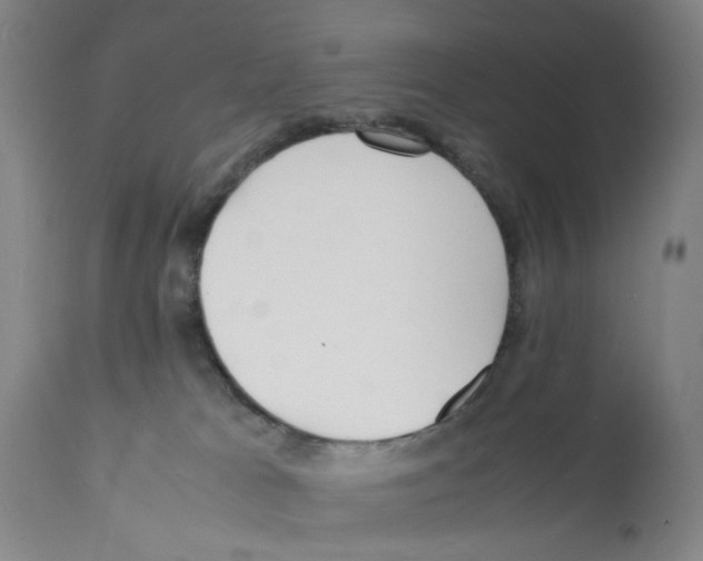 X0000112150037200909181434