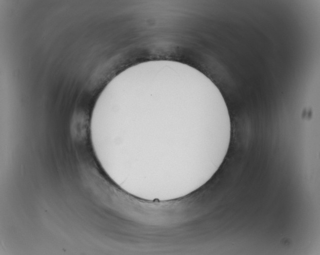 X0000112150038200909181434