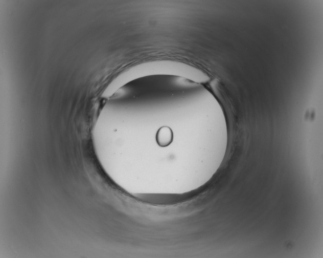 X0000112150039200909181434