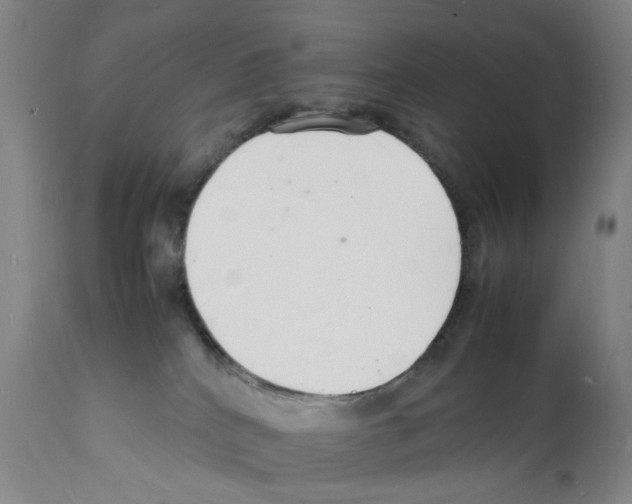 X0000112150040200909181434