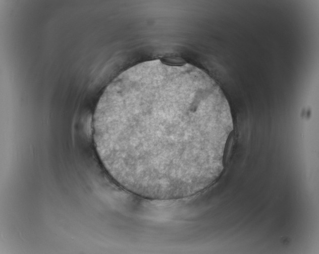 X0000112150041200909181434