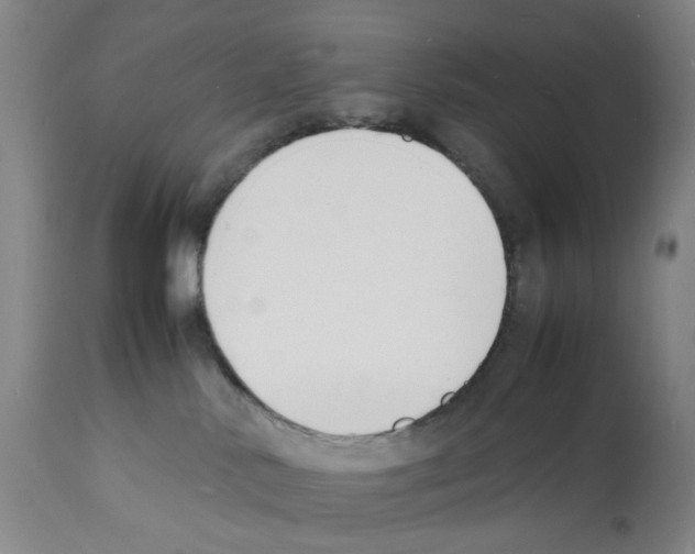 X0000112150042200909181434