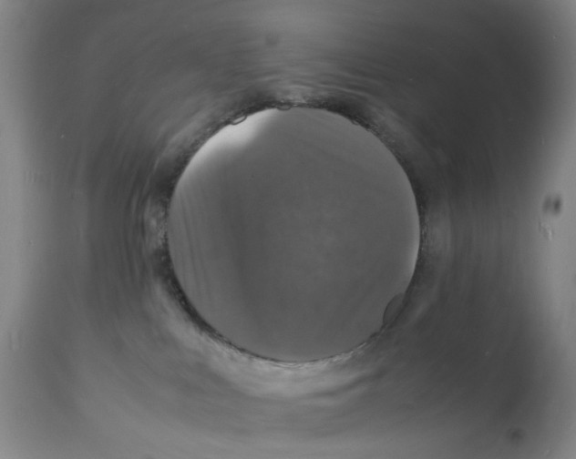 X0000112150043200909181434