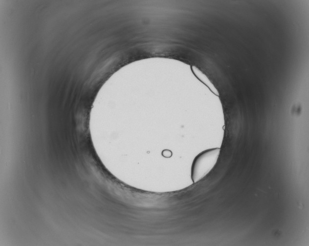 X0000112150044200909181434