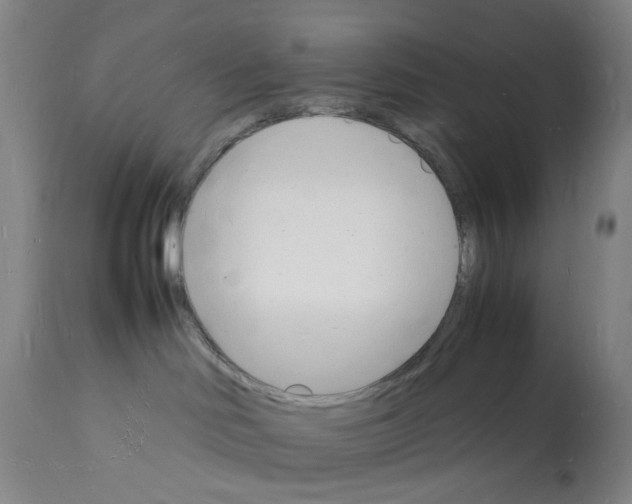 X0000112150046200909181434