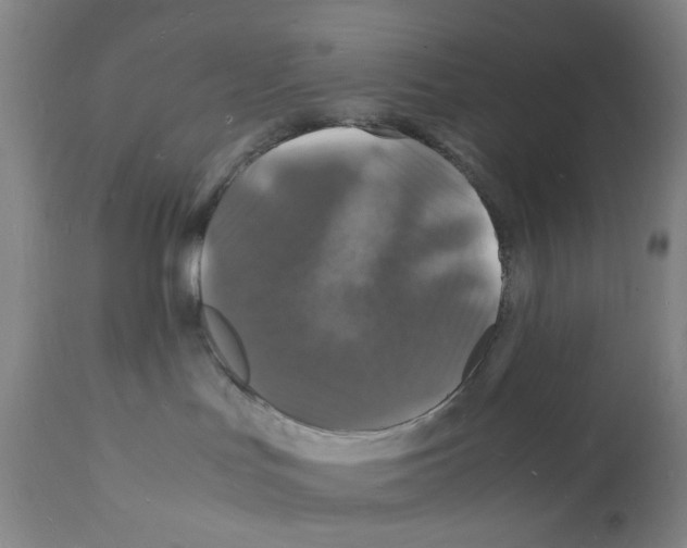 X0000112150047200909181434