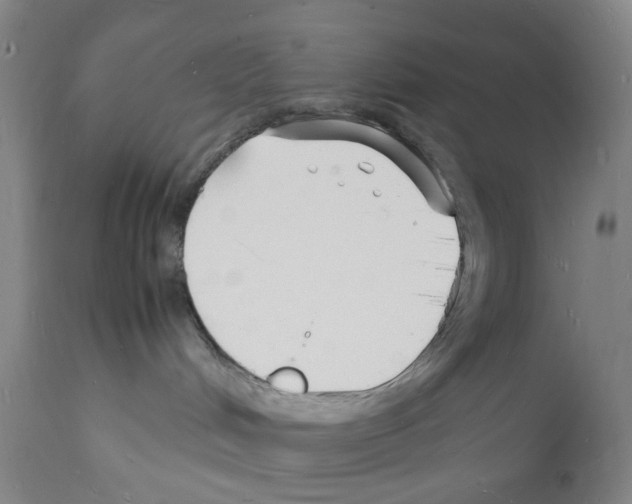 X0000112150048200909181434