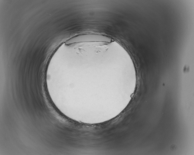 X0000112150049200909181433