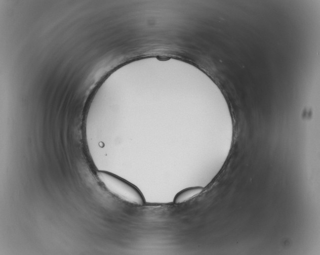 X0000112150050200909181433