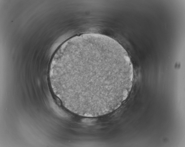 X0000112150051200909181433
