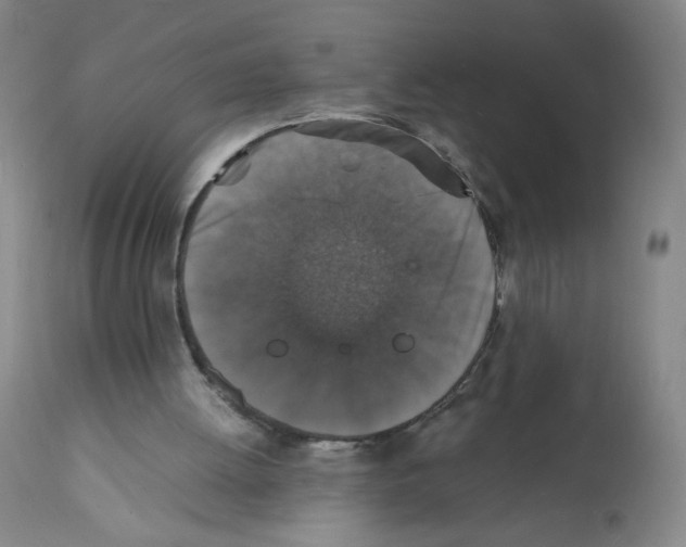 X0000112150052200909181433