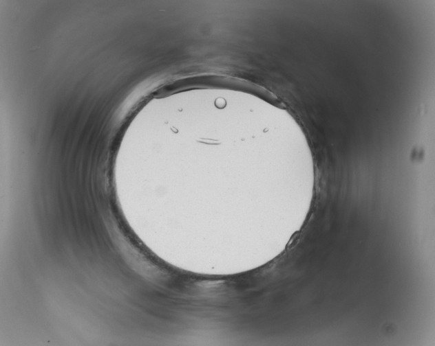 X0000112150054200909181433