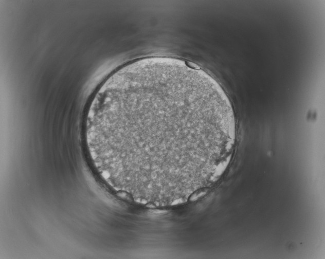 X0000112150055200909181433
