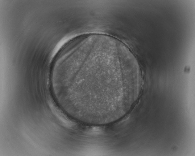 X0000112150056200909181433