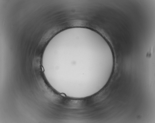 X0000112150057200909181433