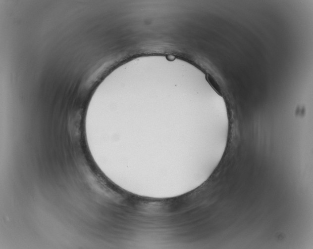 X0000112150058200909181433