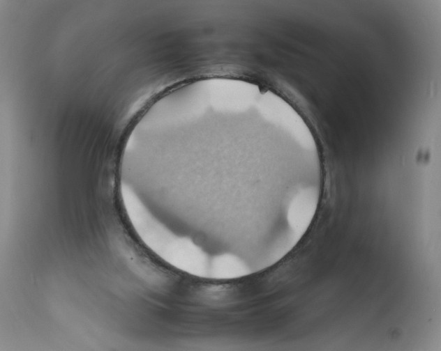 X0000112150059200909181433